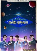 Словарь бесполезных знаний