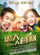 Спасите моих собак