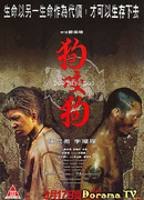 Собака кусает собаку