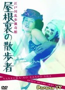 Подглядывающий с чердака