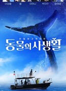 Тайны дикой природы