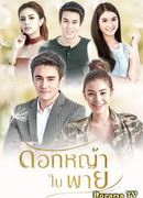 Дикий полевой цветок