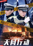 Деятельность Небесной Сети