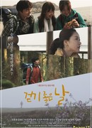 Хороший день для прогулки