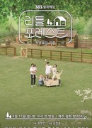 Маленький лес