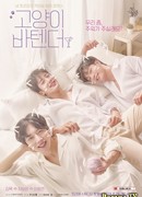 Кошачий бар 2