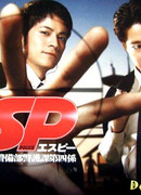 Полиция безопасности