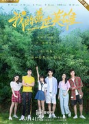 Маленькая любовная песня