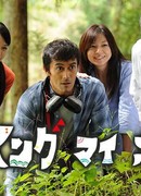 Направляясь домой