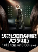 В мире, где нет ни черного, ни белого, панда смеется