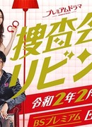 Следствие в гостиной 2