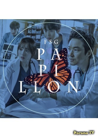 Переводчик FSG Papillon 04.02.20