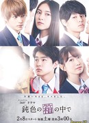 В темной коробке