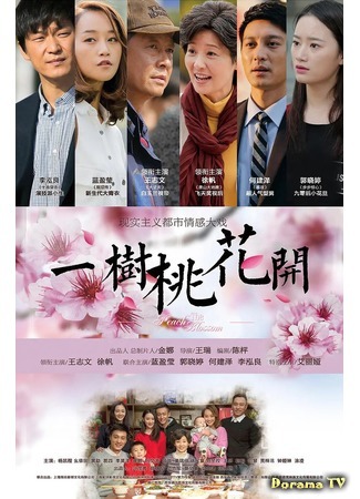 дорама Цветок персика (The Peach Blossom: Yi Shu Tao Hua Kai) 02.04.20