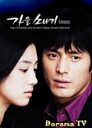 Осенний дождь