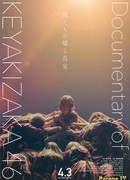 Наша правда и ложь ~ Документалка Keyakizaka46