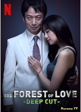 дорама Лес любви: Ещё глубже (The Forest of Love: Deep Cut: Ai Naki Mori de Sakebe: Deep Cut) 16.05.20