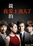 Хорошая жена (2013)