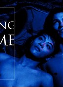 Возвращение домой (2015)