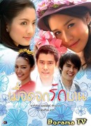 Когда расцветает любовь