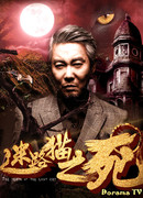 Смерть бездомного кота