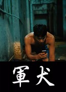 Армейский пёс