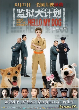 дорама Здравствуй, пёсик! (Hello My Dog: Jian yu quan ji hua) 01.09.20