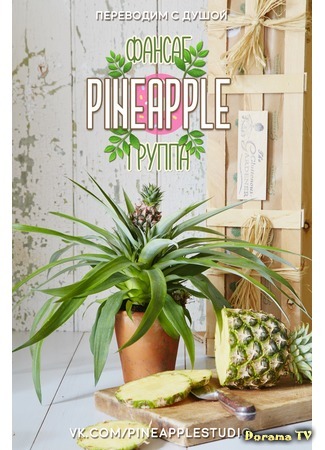 Переводчик PINEAPPLE 13.09.20