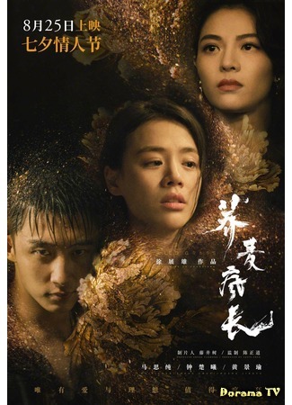 дорама Дикие травы (Wild Grass: Qiao Mai Feng Chang) 27.09.20