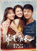 Дикие травы