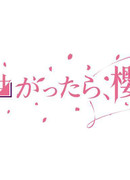 Soko Magattara, Sakurazaka?