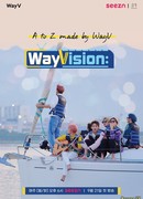WayVision