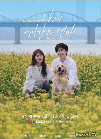 дорама Моя щенячья любовь (My Dog-like Dating: 나의 개 같은 연애) 15.11.20