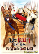 Дорожная банда «4 лапы»