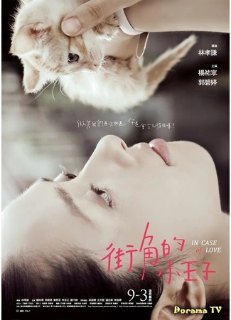 дорама Бродячий маленький принц (In Case Of Love: Jie Jiao De Xiao Wang Zi) 27.11.20