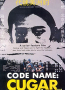 Операция «Пума»