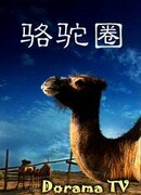 Верблюжий загон