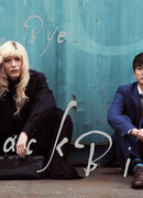 Прощай, дрозд