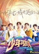 Мастер в доме (китайская версия)