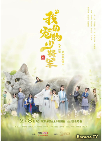 дорама Мой юный питомец генерал (Be My Cat: Wo de chong wu shao jiang jun) 10.02.21