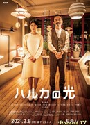 Свет Харуки