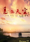 Птицы в небе