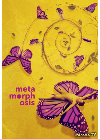 дорама Метаморфоза (Metamorphosis (2019)) 26.02.21