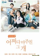 Пёс, с которым меня свела судьба