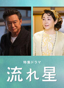 Падающая звезда