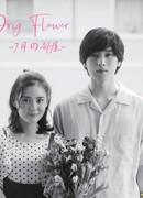 Засохший цветок: Наша комната в июле