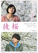 Цветение сакуры