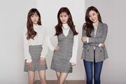 TaeTiSeo