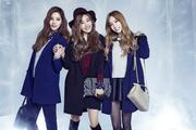 TaeTiSeo