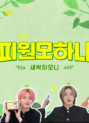 Ростки Гармонии